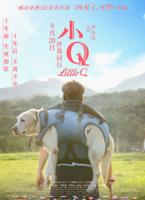 《蛟龙行动》优选人群军事迷战争动作片爱好者作为军事战争类型片，《蛟龙行动》的工业化制作水平相比《红海行动》有了直观的升级提升。